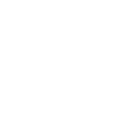 Qualia